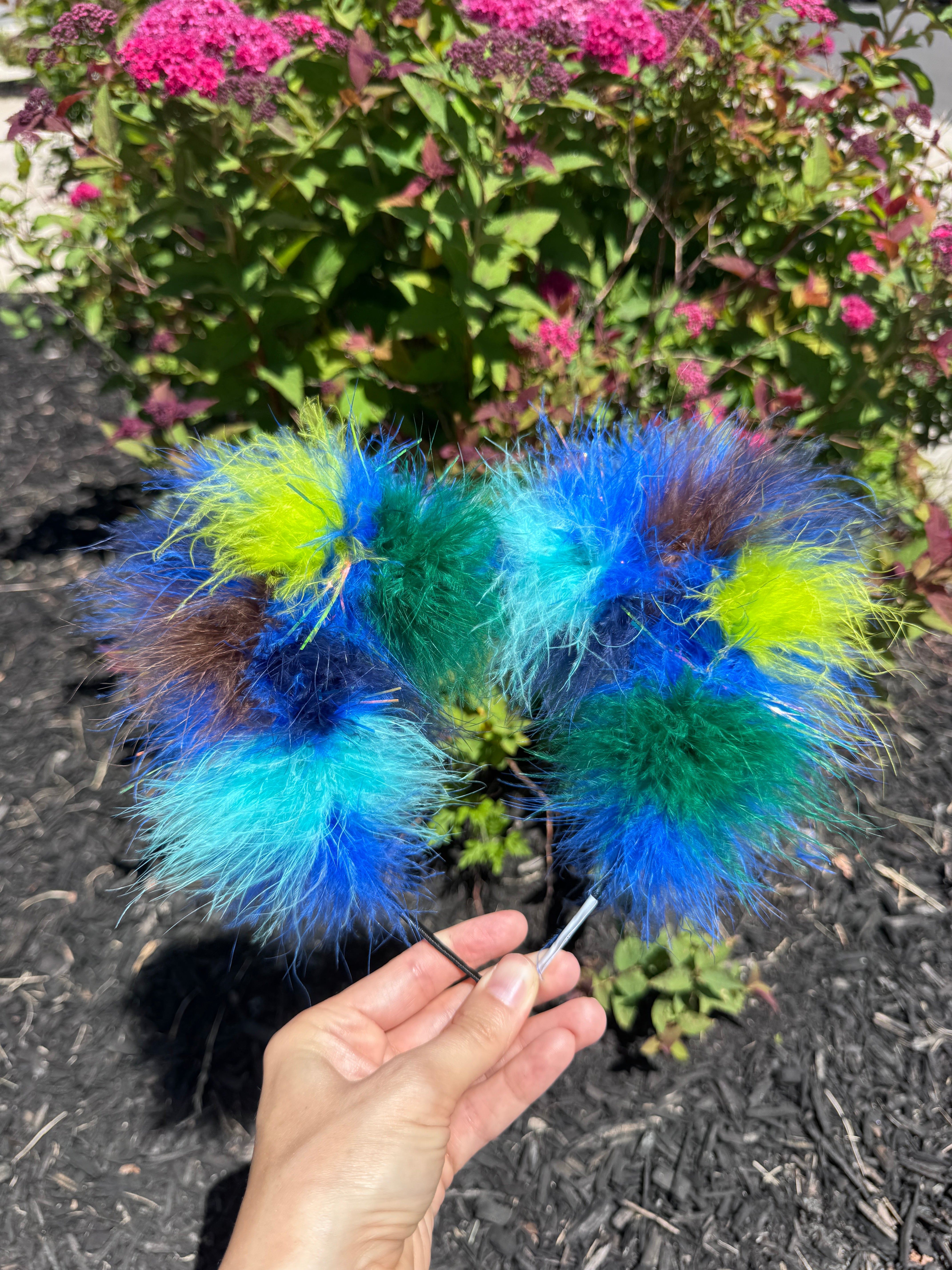 Peacock Kitty