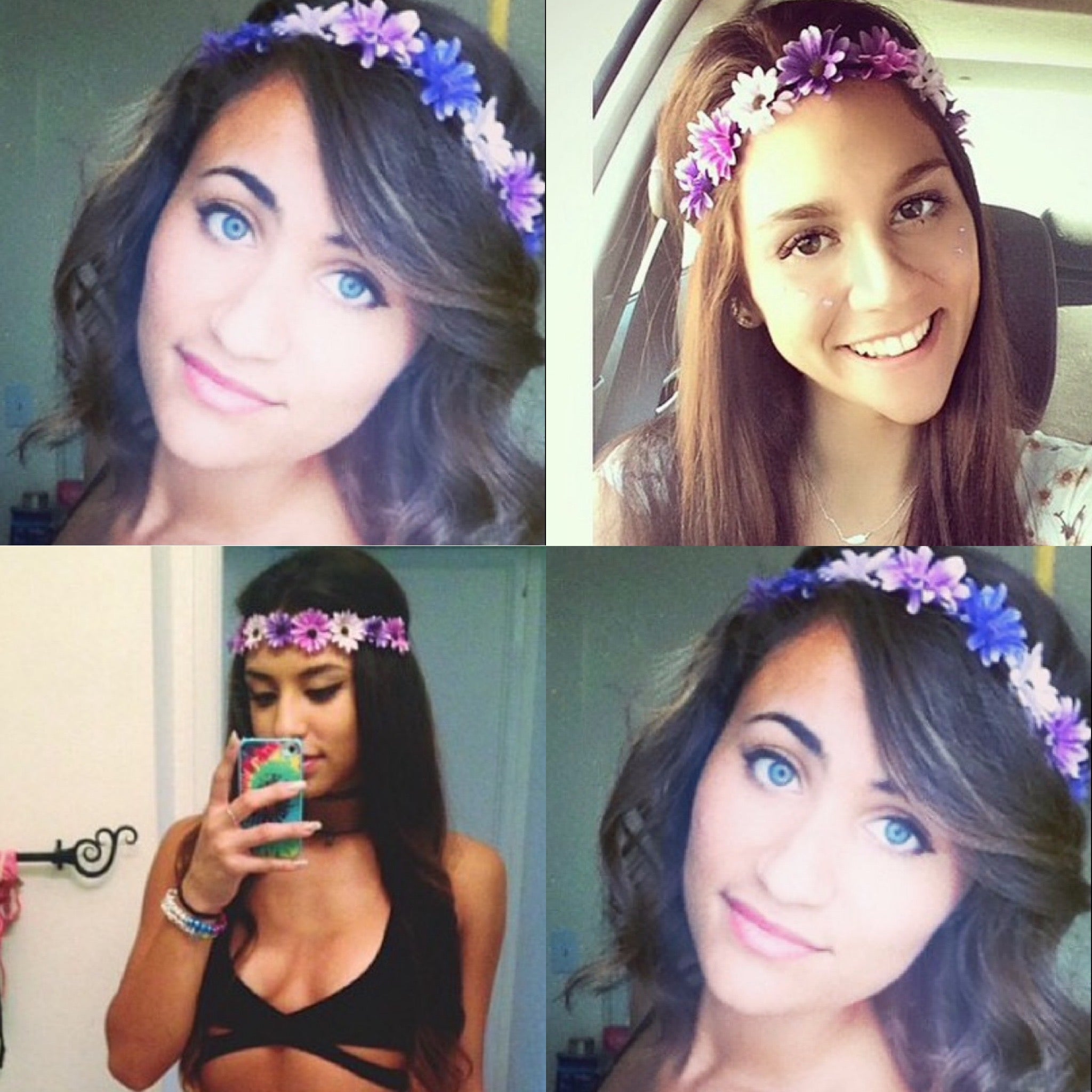 Multi Purple Daisy Blossom