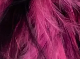 Two Color Fluff Kitty