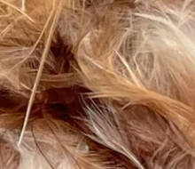 Mixed Fluff Hair Clips