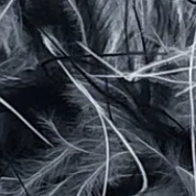 Duality Fluff Earrings