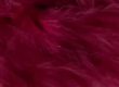 Mixed Fluff Hair Clips
