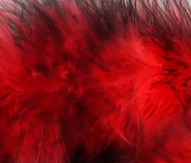 Mixed Fluff Hair Clips