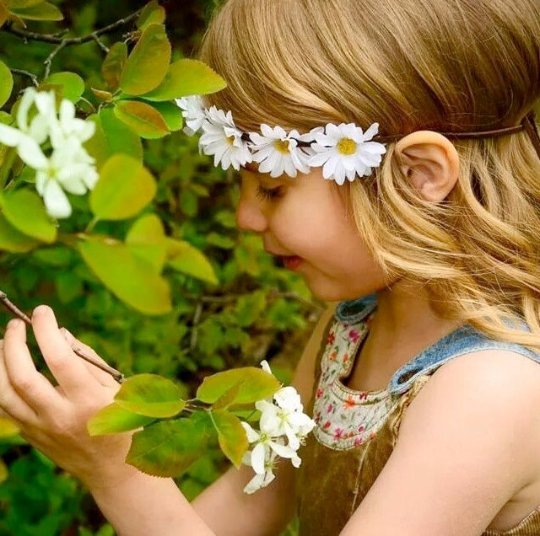 Mini White Daisy Blossom