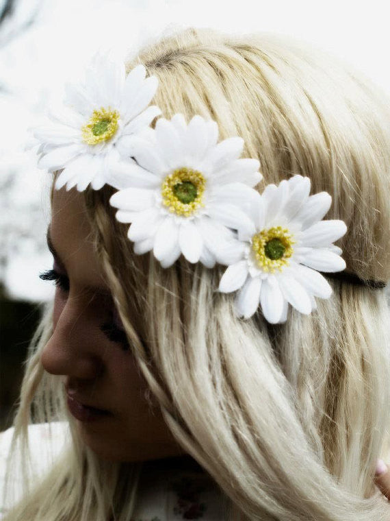 White Daisy Blossom